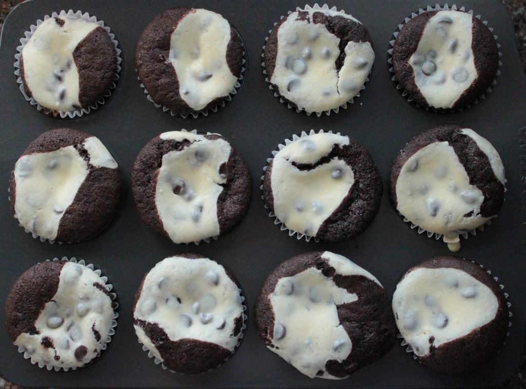 Twelve Black bottom Cupcakes in a muffin pan.