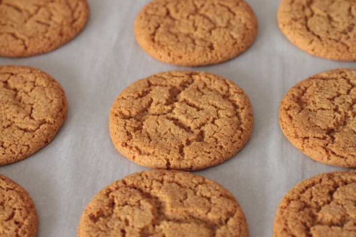 Freshly baked Old Fashioned Gingersnaps on parchment paper.