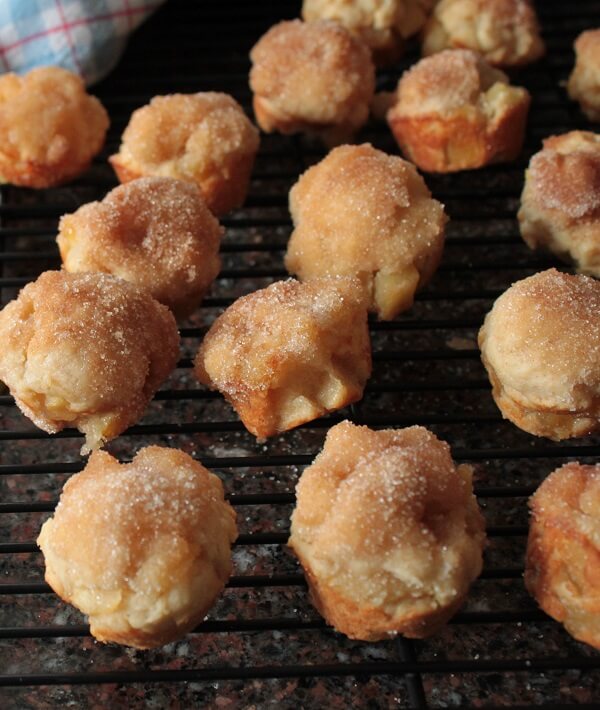 Apple Fritter Bites - Dish 'n' the Kitchen Golden baked apple fritters with chunks of apple sit on a black cooking rack.