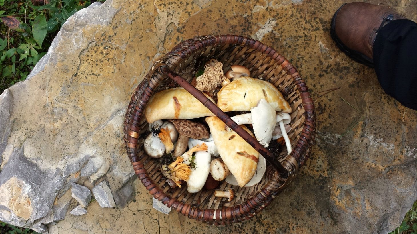 Delicious and Portable Mushroom Hand Pies for the discerning Forager or Picnic-er #handpies #foraging #mushroomhandpies