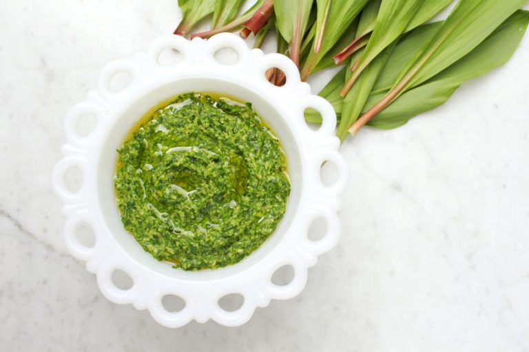 Wild Ramp Pesto A Delicious and Versatile Foraged Wild Ramp Pesto