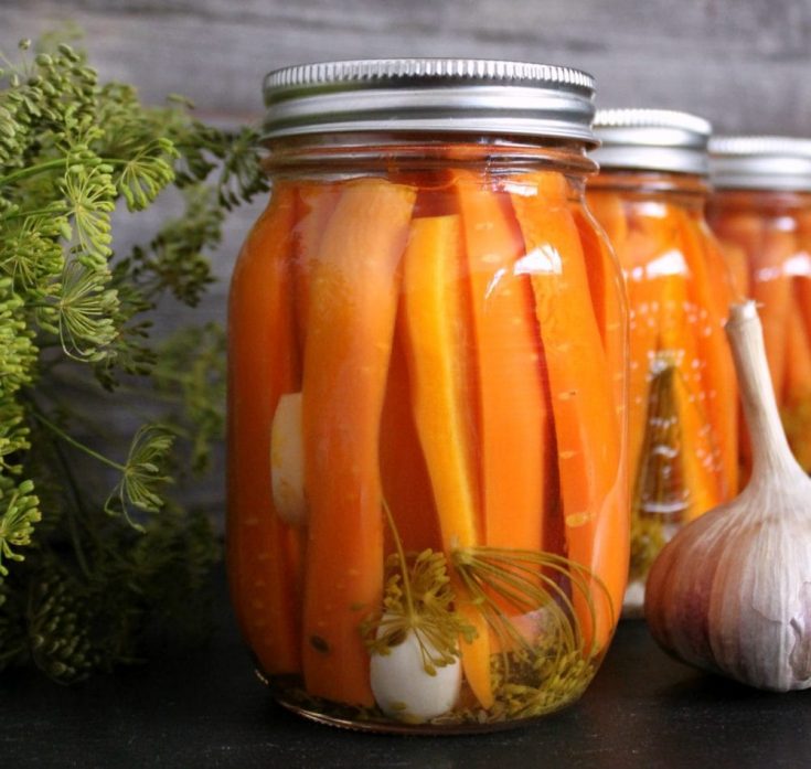 Pickled Carrots with Dill and Garlic - Dish 'n' the Kitchen A Jar of bright carrots, fresh dill, and garlic fill a jar surrounded by more fresh dill and garlic.
