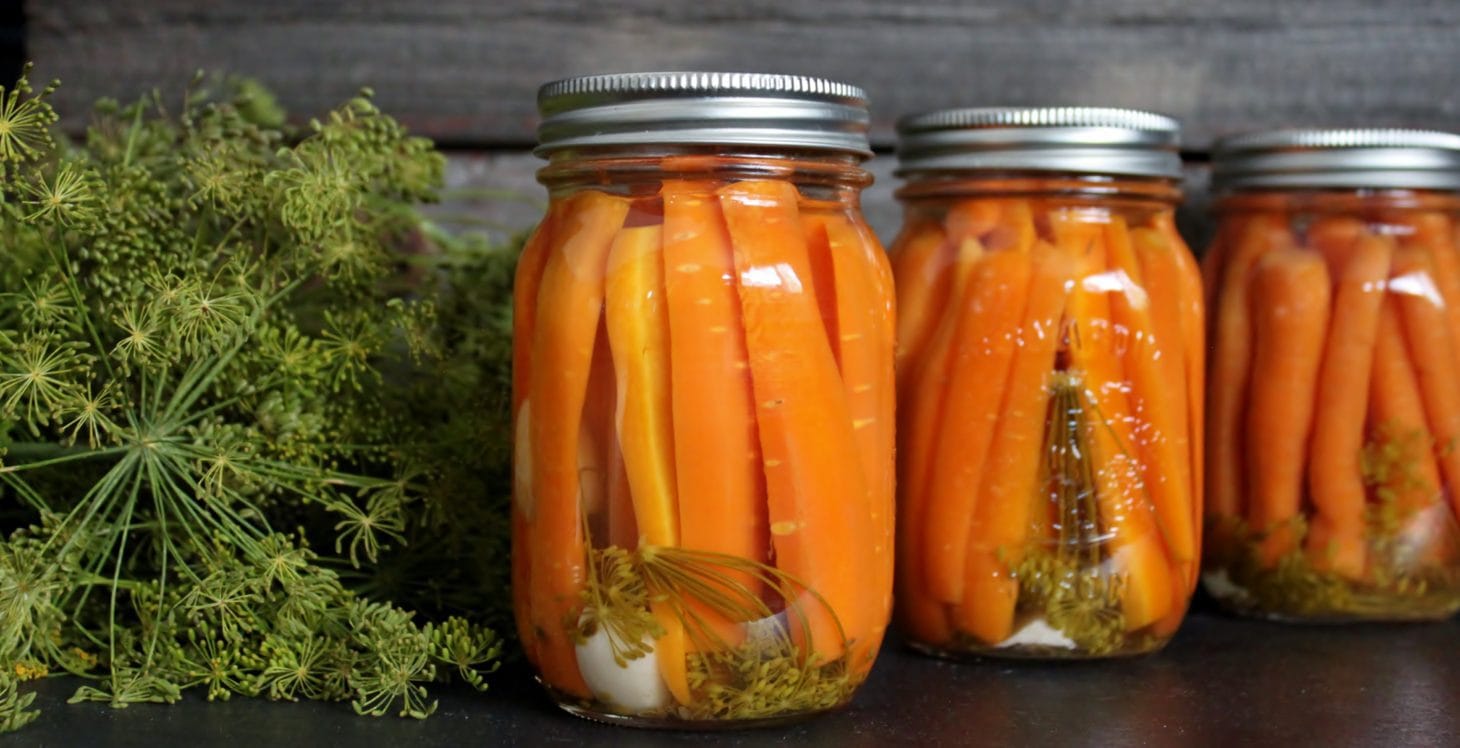 Pickled Carrots with Dill and Garlic Dish 'n' the Kitchen
