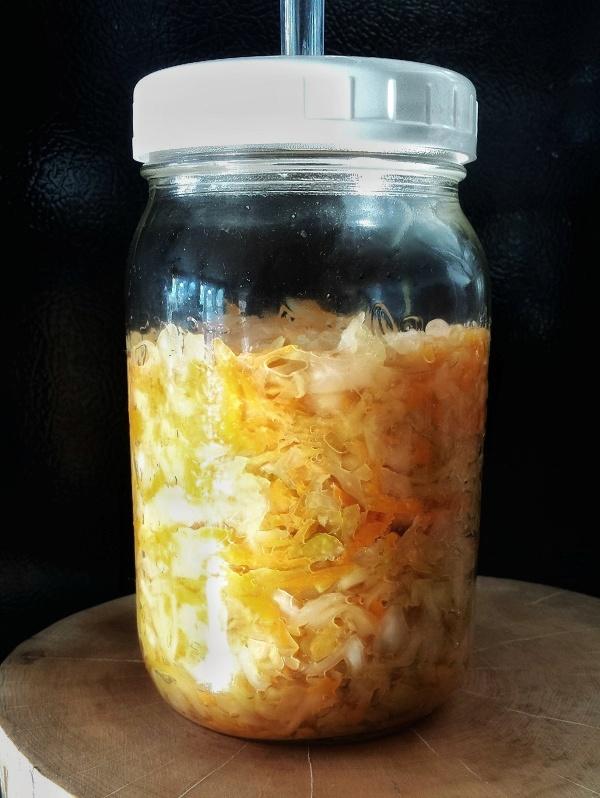 A quart jar containing carrot sauerkraut with an air lock lid.