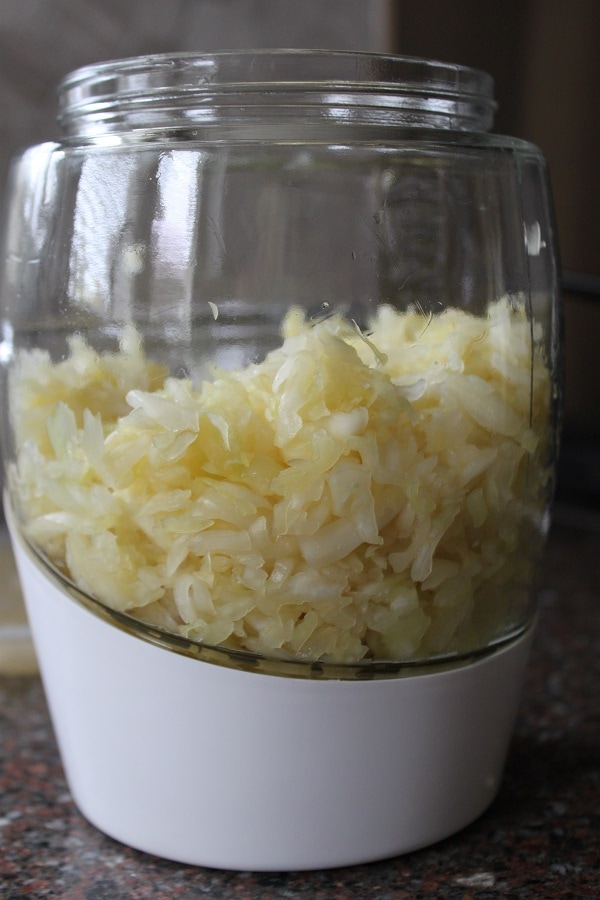 A fermentation crock containing sauerkraut. 