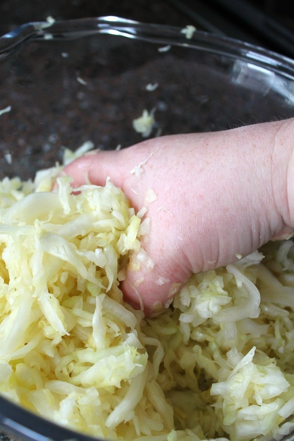 A hand massaging cabbage.