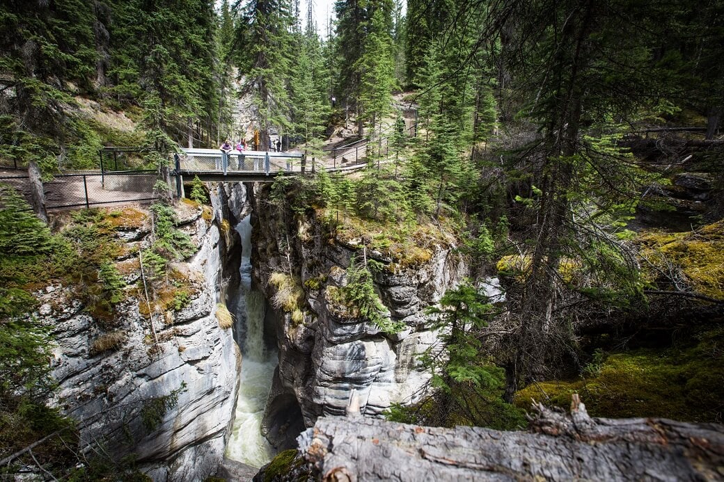 Maligne Canyon Wilderness Kitchen offers Jasper travelers a warm and authentic modern smokehouse experience in the Canadian Rockies. #TravelAlberta #CanadianRockies #MalignCanyon #MalignCanyonWildernessKitchen #MyJasper #Jasper #pursuitlife