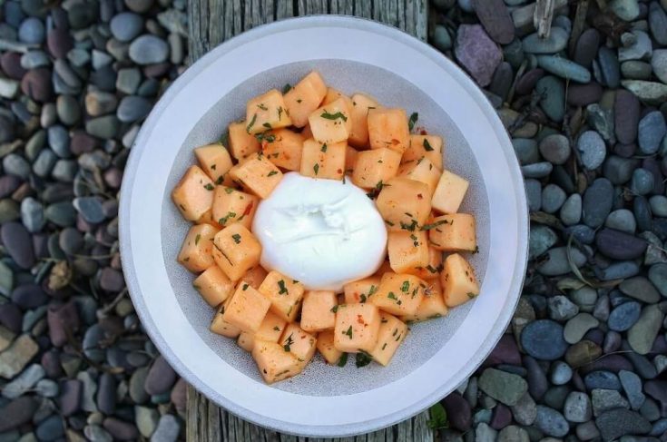 White bowl containing Cantaloupe Salad with white burrata, mint, and chilies.