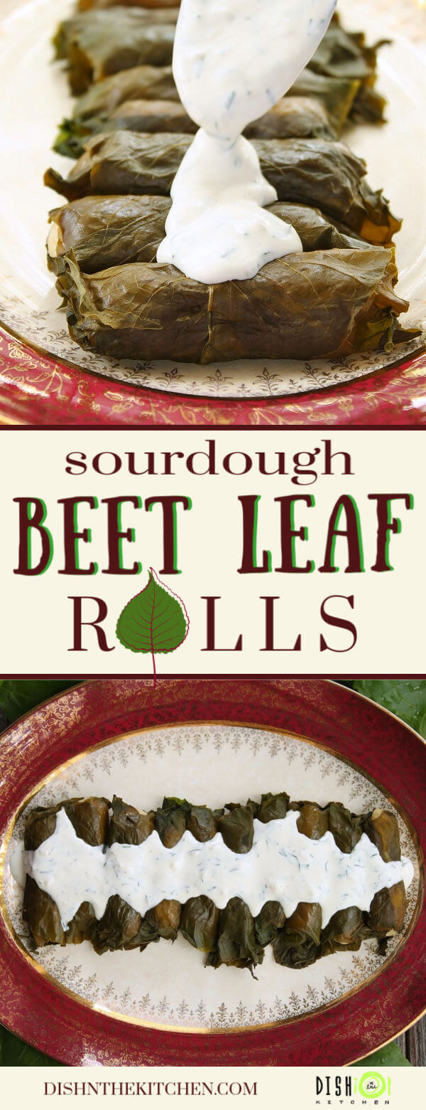 Beet Leaf Rolls (Holubtsi) - Dish 'n' the Kitchen Pinterest image featuring cooked beet rolls covered in a garlic dill white cream sauce. 