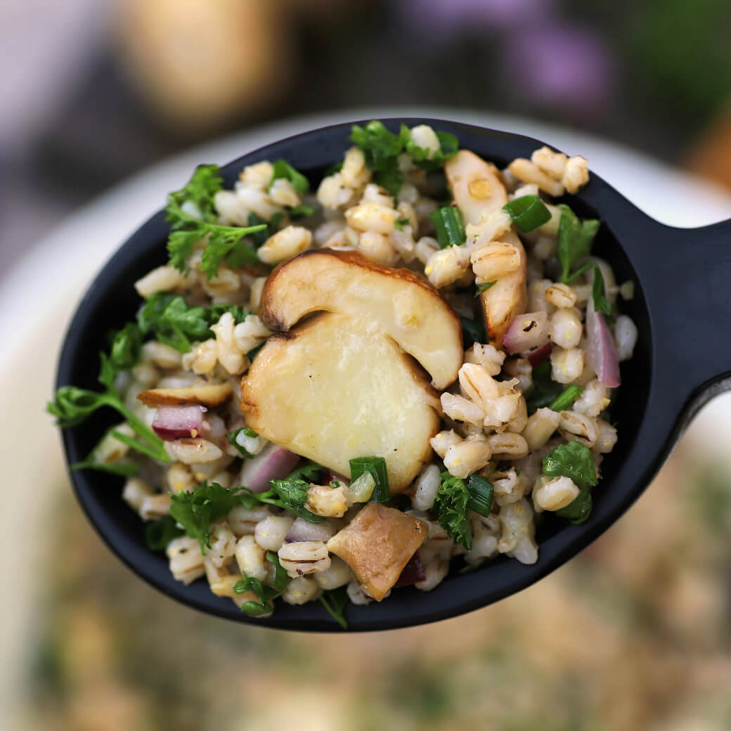 A black spoon containing barley, fresh herbs, and porcini mushrooms.
