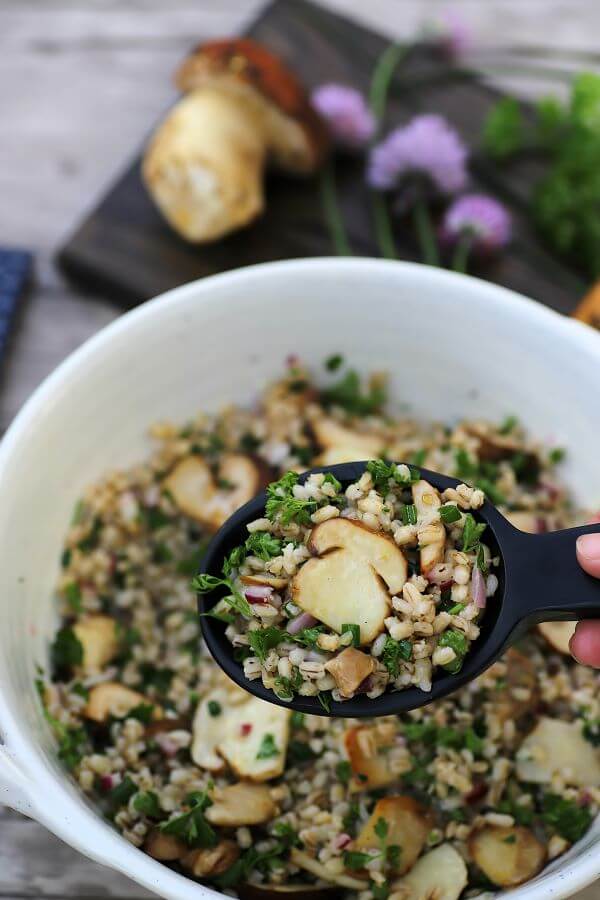 Mushroom Barley Salad Recipe - A black spoon containing barley, fresh herbs, and porcini mushrooms.