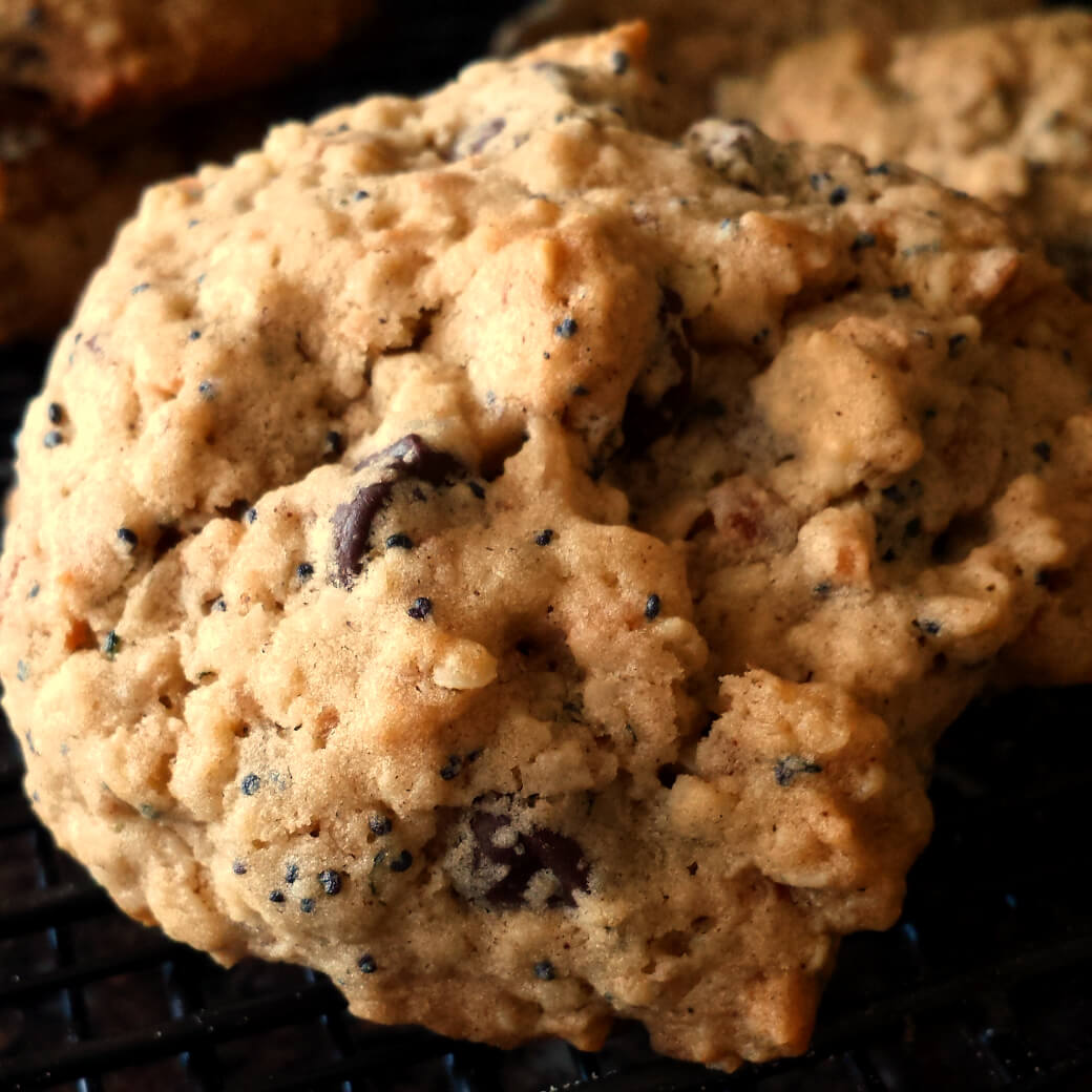 Close up photo of a chocolate chip cookie.