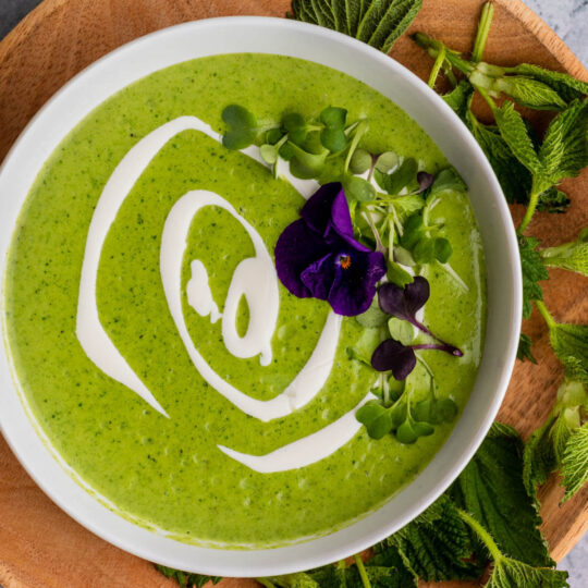 Bright green nettle soup with swirls of white cream and microgreen edible flower garnish.