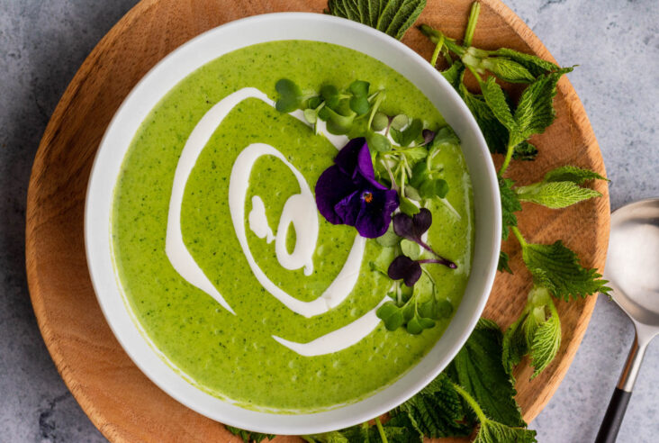 Bright green nettle soup with swirls of white cream and microgreen edible flower garnish.