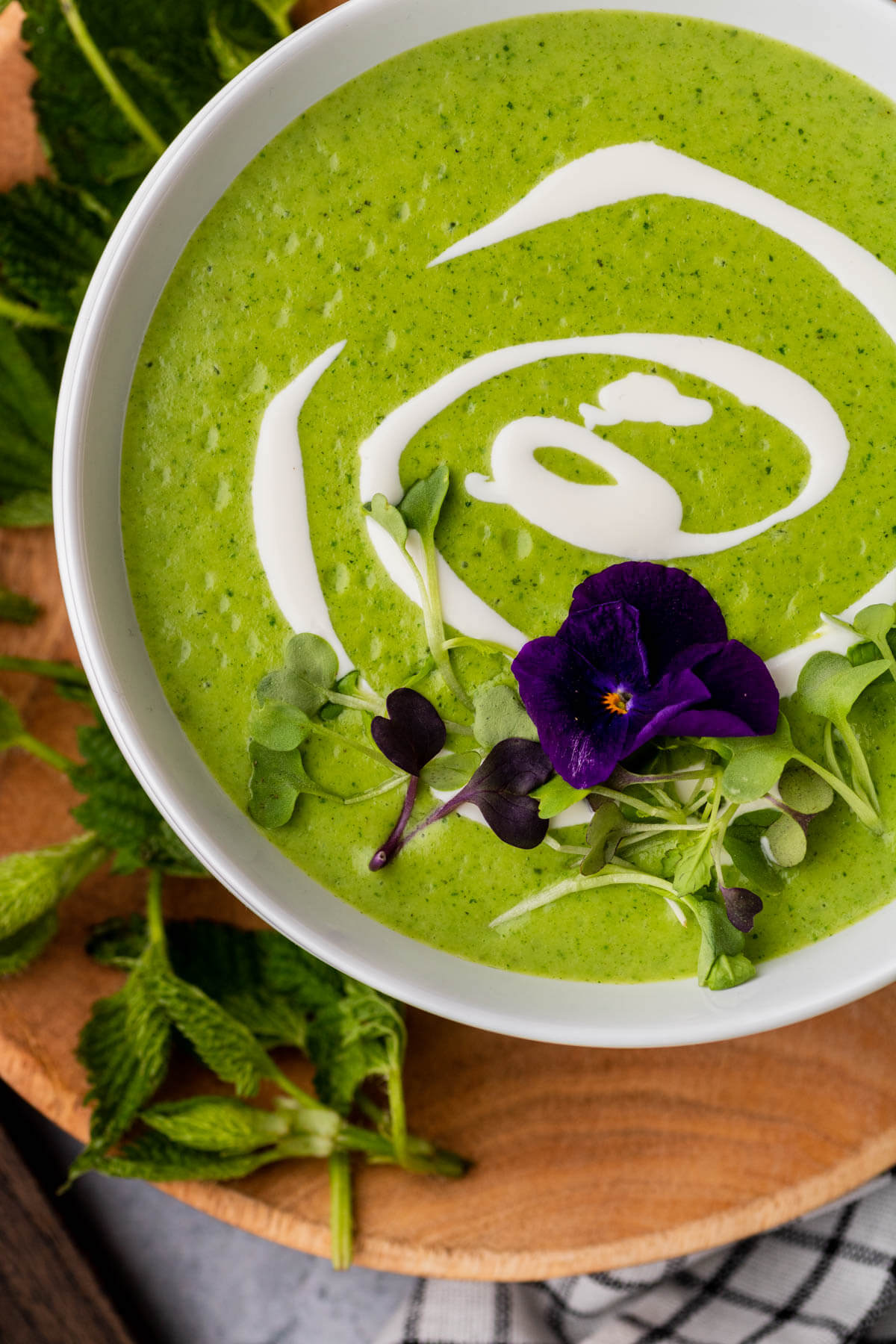 A bowl of bright green nettle soup with swirls of white cream and microgreen edible flower garnish.