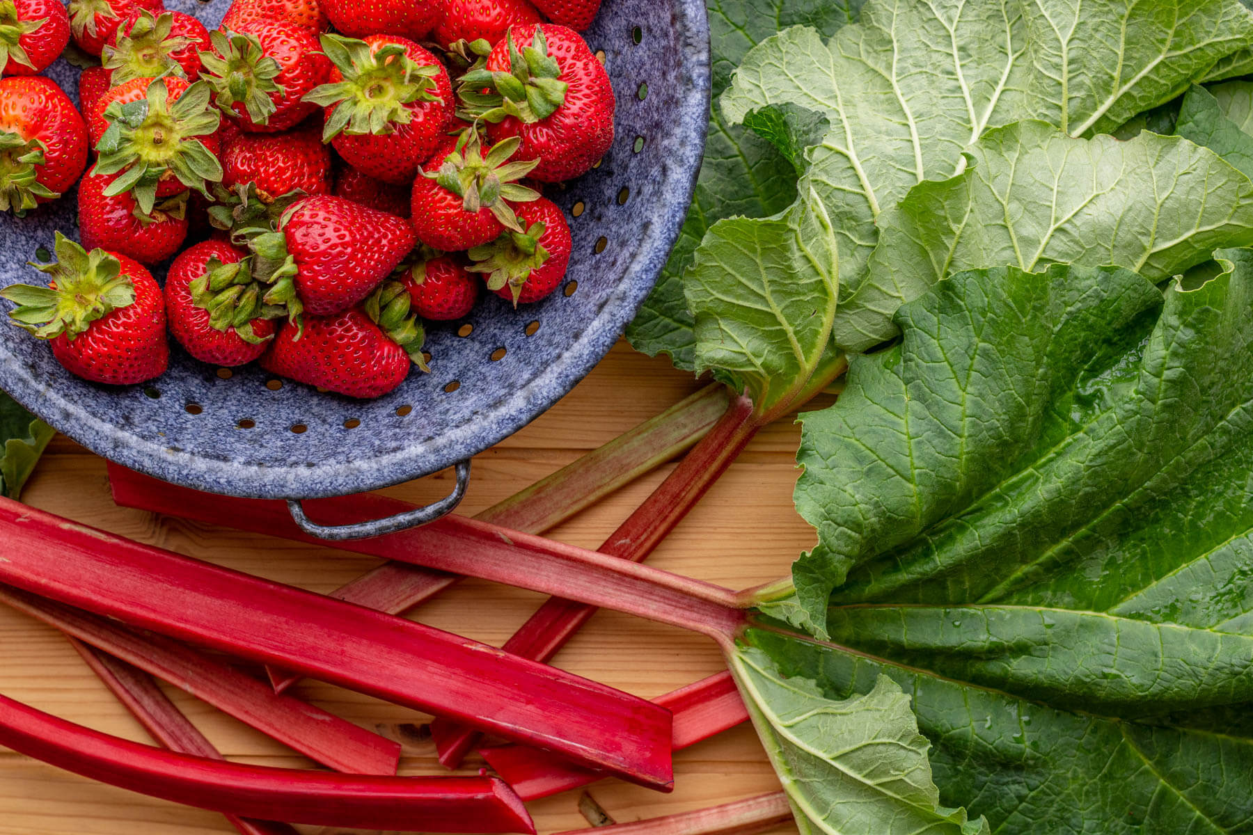 Fresh strawberries in a colander beside stalks of fresh rhubarb.