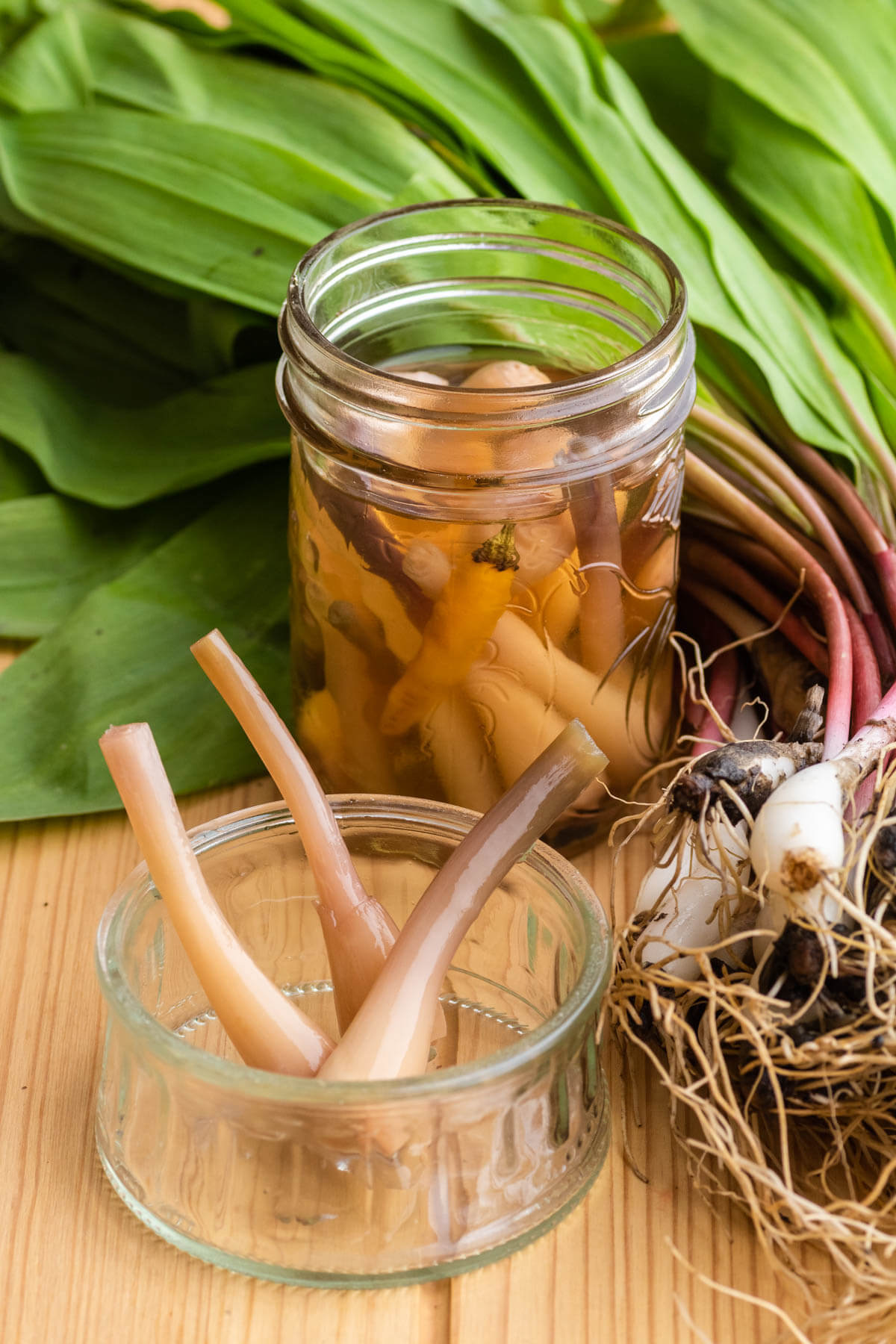 A jar of pickled ramps with fresh ramps.