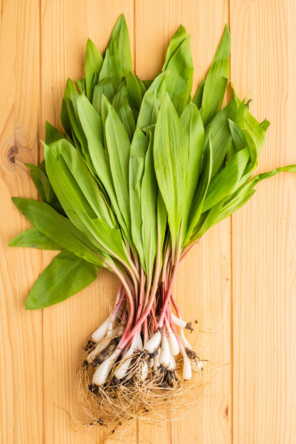 Easy Sweet Pickled Ramps Dish 'n' the Kitchen