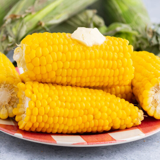 A plate full of golden yellow stack of cooked Instant Pot Corn on the Cob.