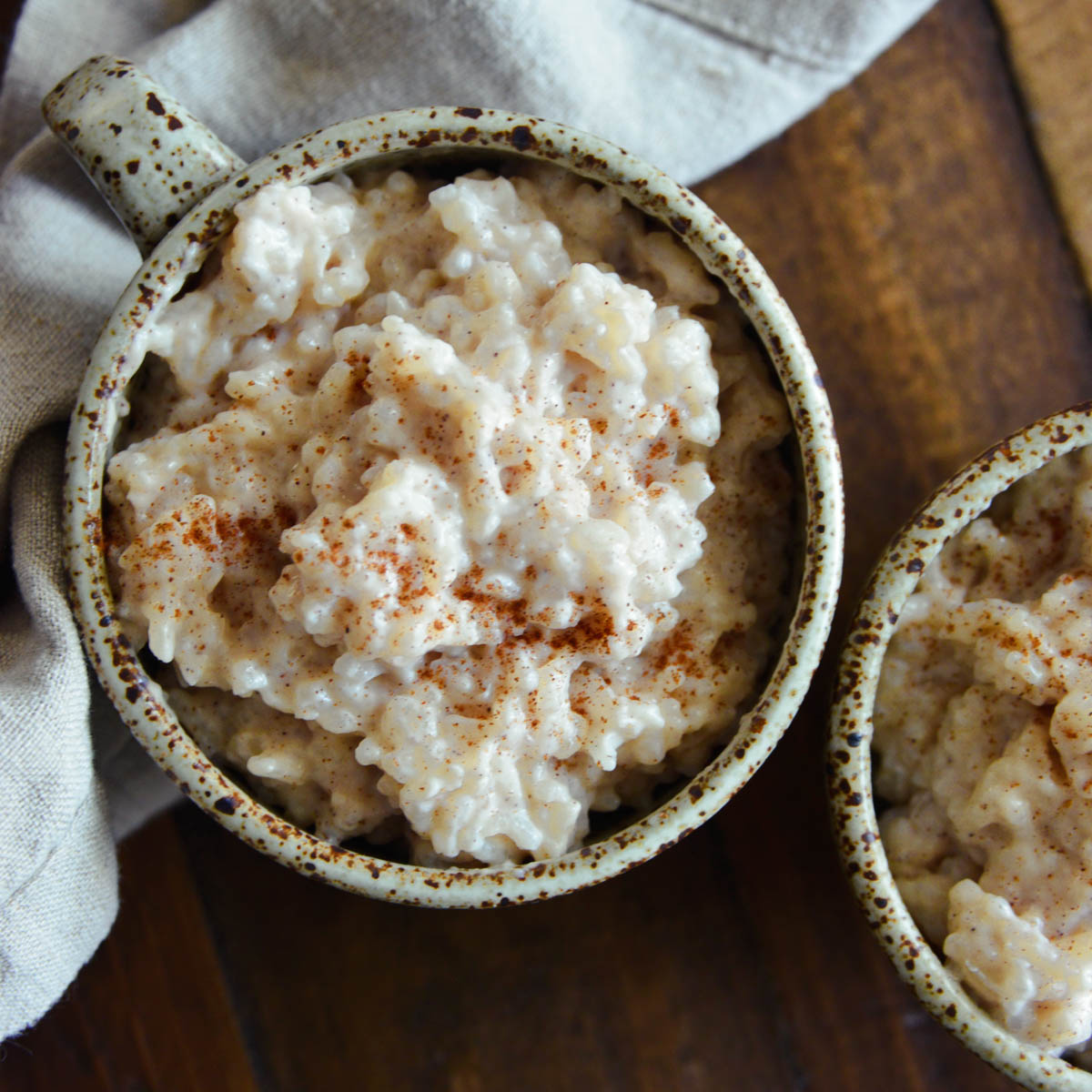 A speckled pottery mug filled with creamy old fashioned rice pudding dusted with cinnamon.