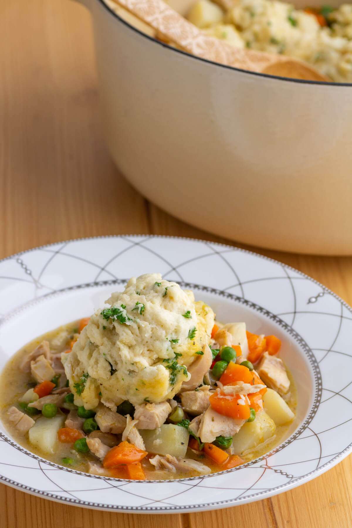 A bowl full of Chicken and Dumplings.