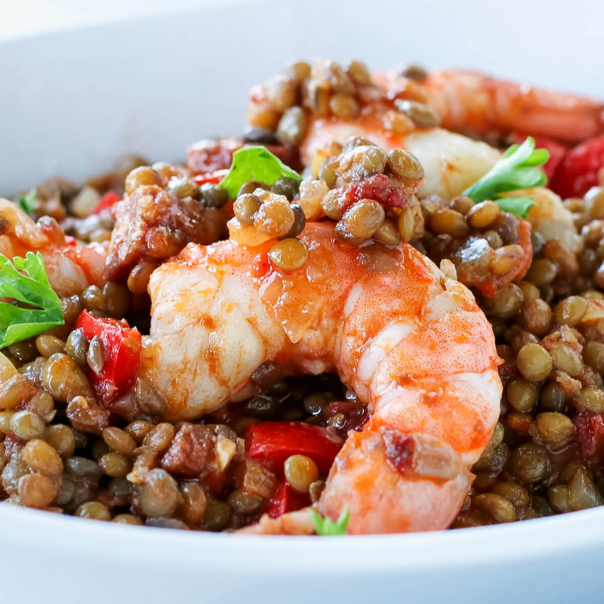 Brown lentils, red peppers, tomatoes, chorizo and shrimp in a white bowl.