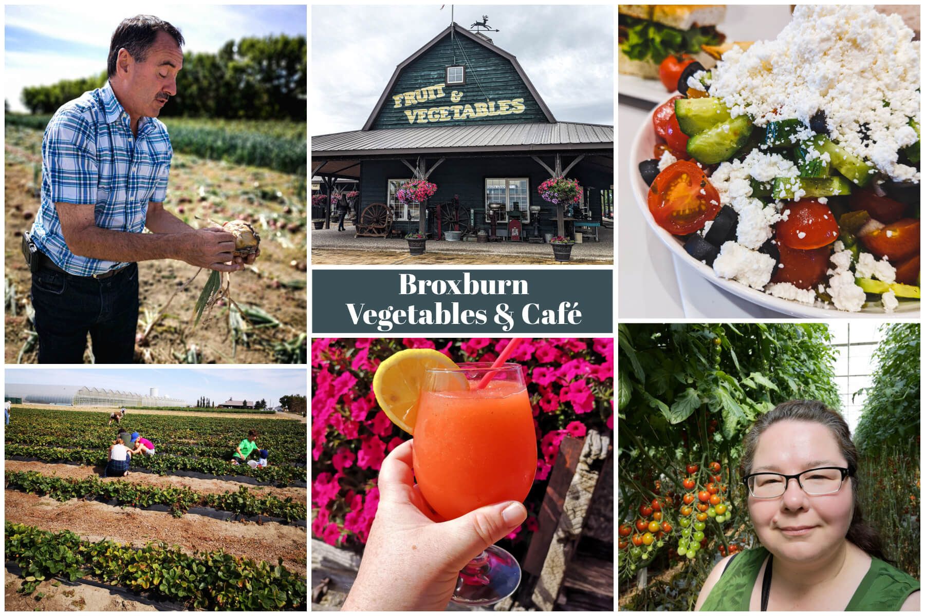 A collection of photos captured at Broxburn Vegetables and Cafe.