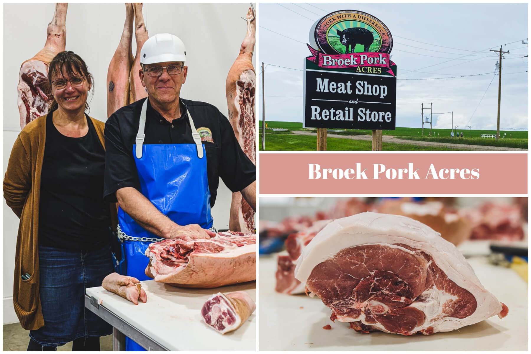 A collection of photos captured at Broek Pork Acres.