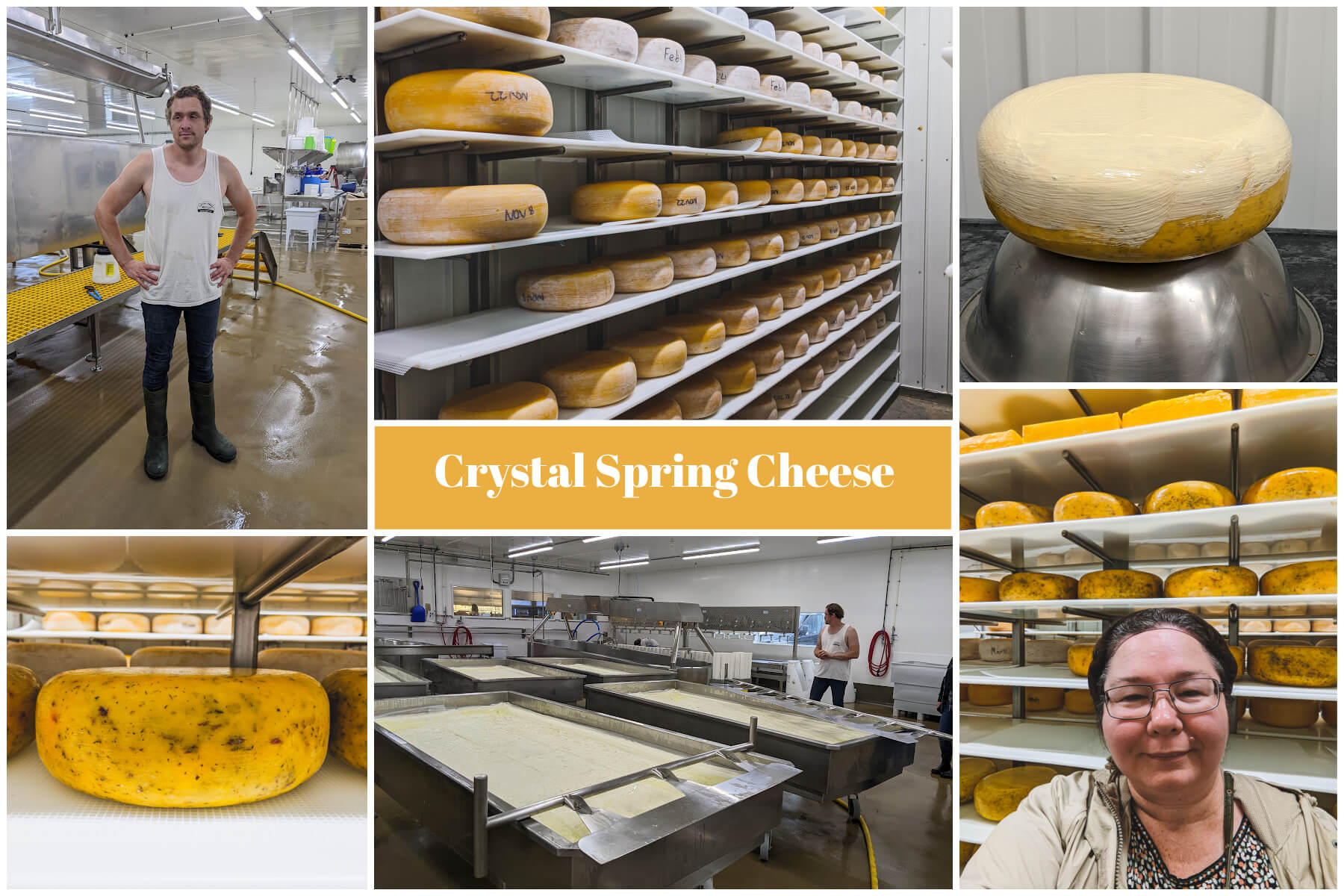 A collection of photos captured at Crystal Springs Cheese.