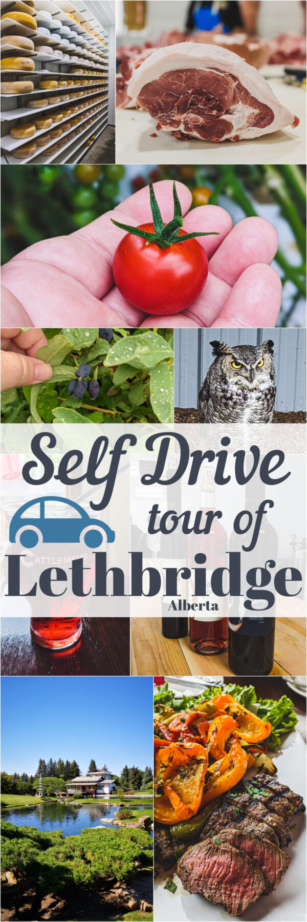 Pinterest image containing multiple images of stops along a self drive tour of Lethbridge and area.