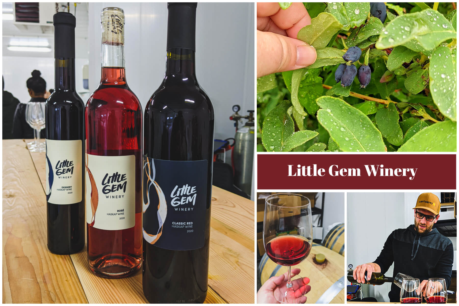 A collection of photos captured at Little Gem Winery.