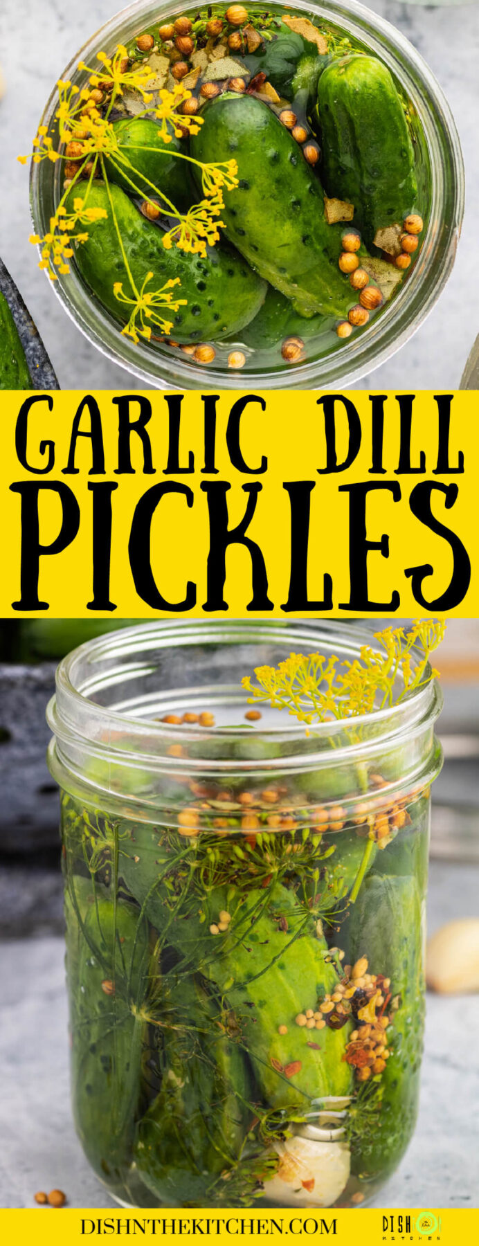 Pinterest image featuring pickles with dill and garlic in a jar.