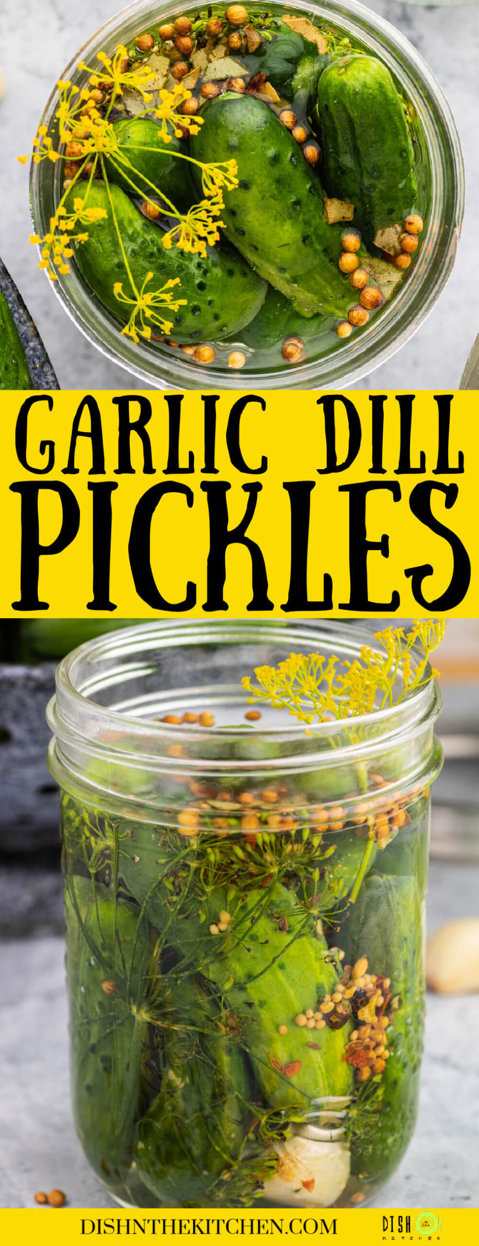 Homemade Garlic Dill Pickles Dish 'n' the Kitchen