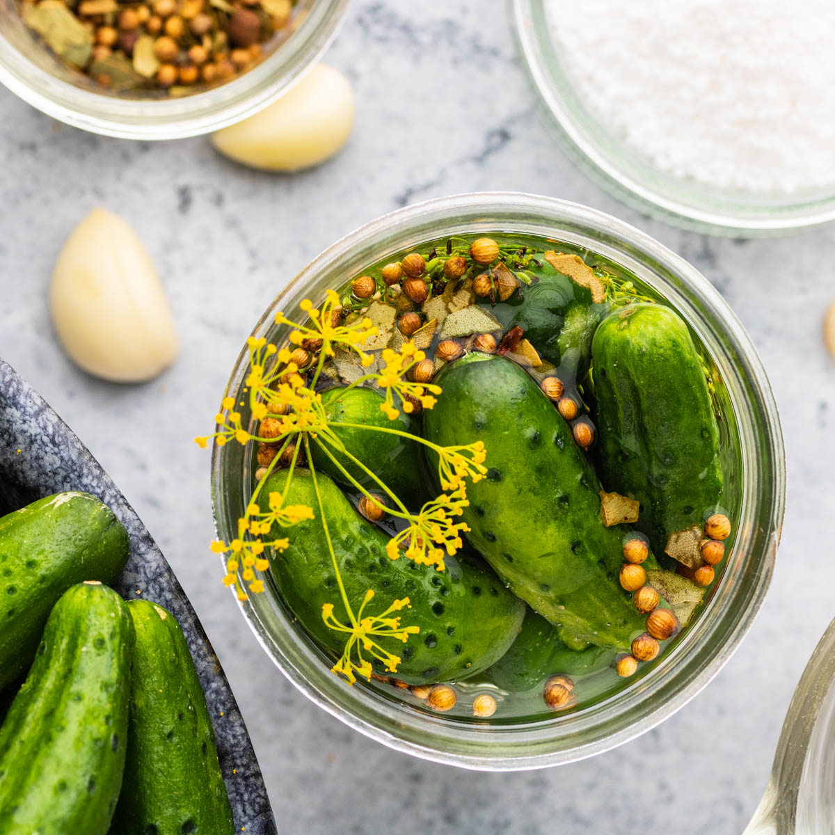 Small cucumbers in a jar along with garlic, dill, and pickling spices.