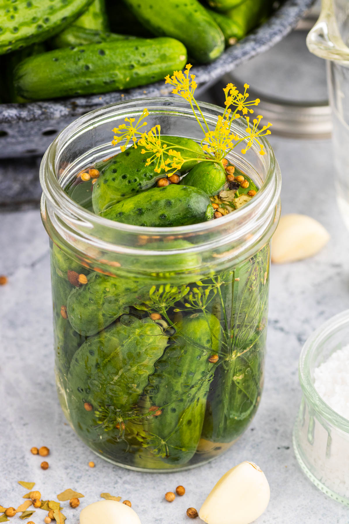 Small cucumbers in a jar along with garlic, dill, and pickling spices.