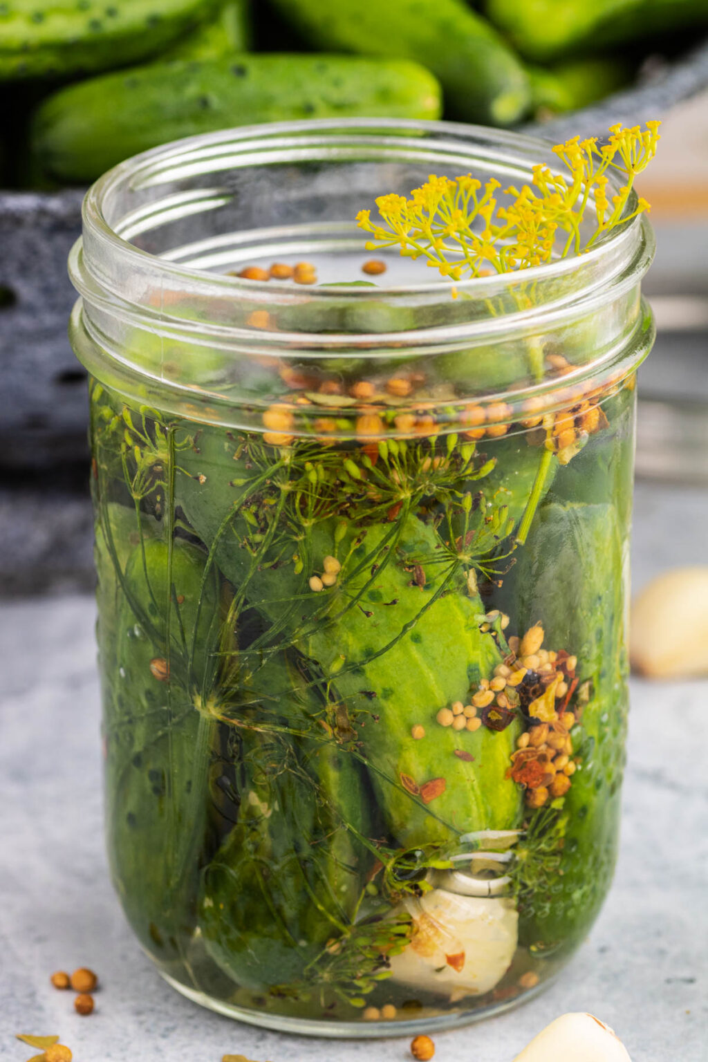 Homemade Garlic Dill Pickles Dish 'n' the Kitchen