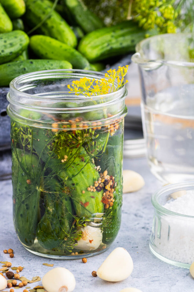 Homemade Garlic Dill Pickles Dish 'n' the Kitchen