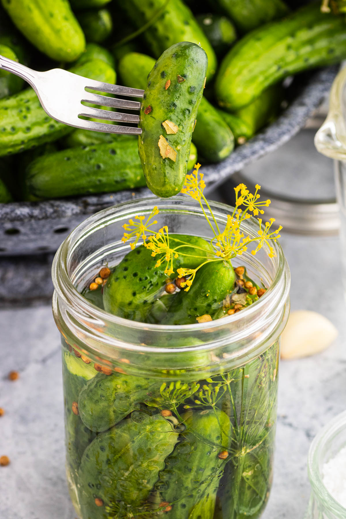 Best Crisp Dill Pickle Recipe Dill Pickle Recipe MRDHN Best Crisp Dill Pickle Recipe Dill Pickle Recipe MRDHN