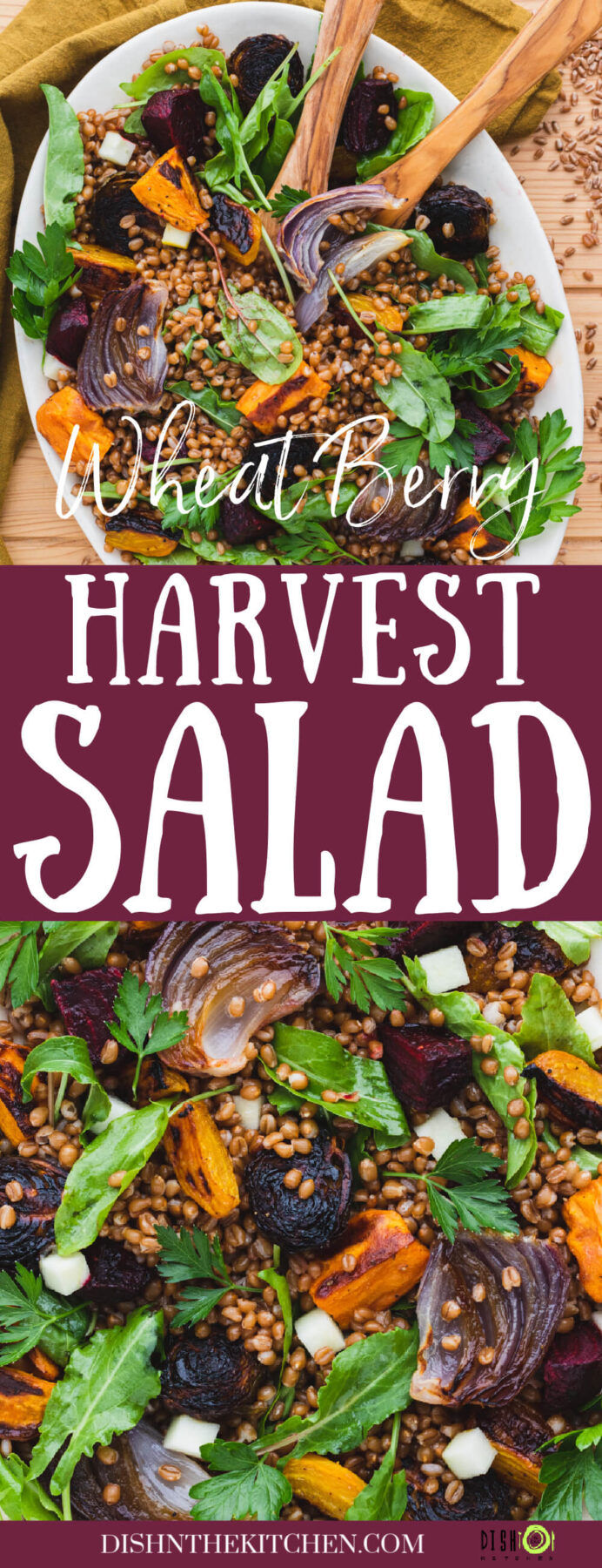 Pinterest image featuring a white serving platter filled with a colourful Harvest Salad featuring roasted beets, onions, Brussels sprouts, and wheat berries. 
