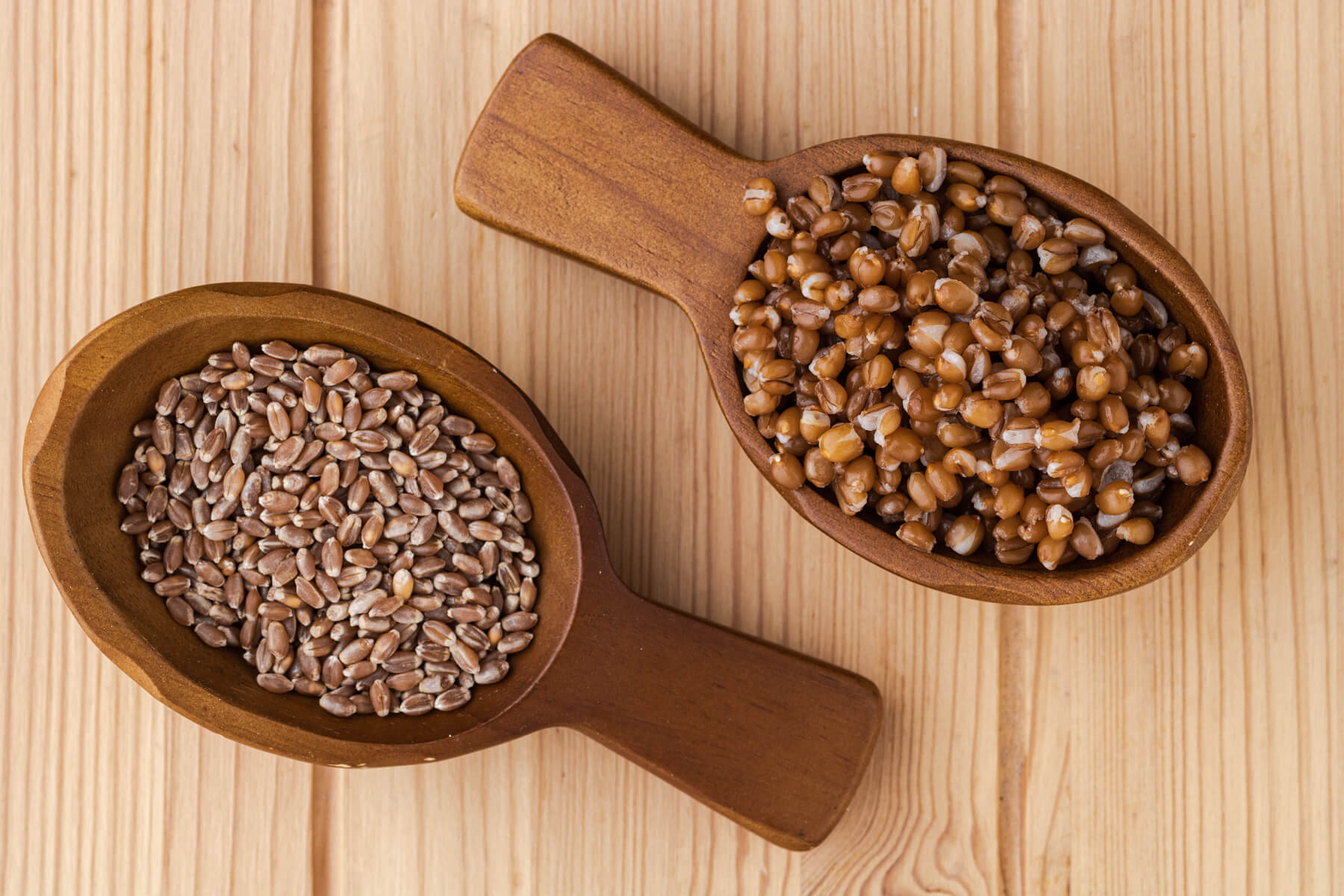 Two wooden scoops comparing uncooked durum wheat to cooked wheat berries.