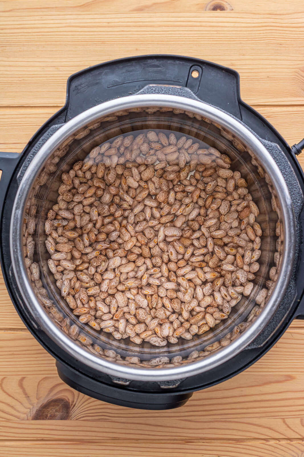 Pinto beans and water in an Instant Pot.