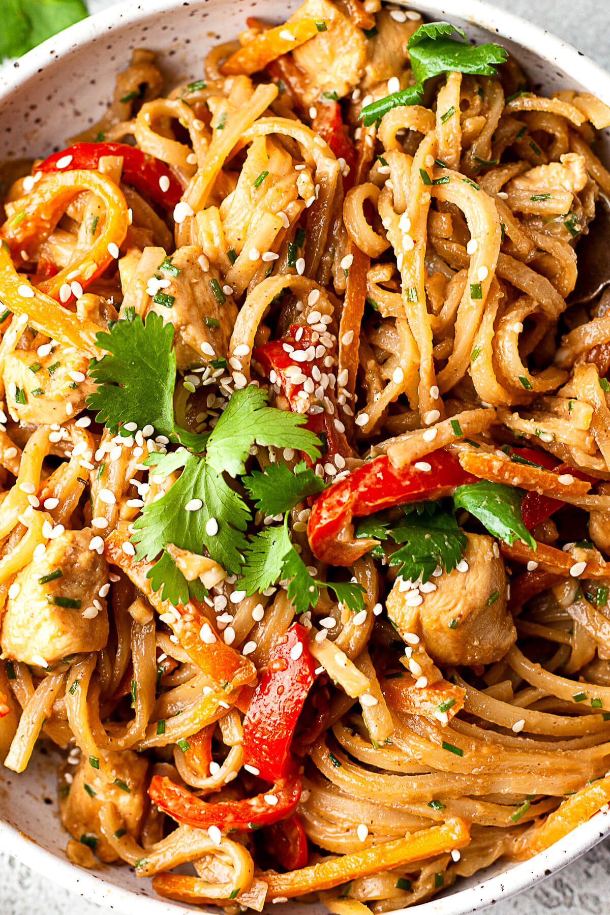 Spicy peanut noodles with red peppers, chicken, and carrots garnished with sesame seeds and fresh cilantro.