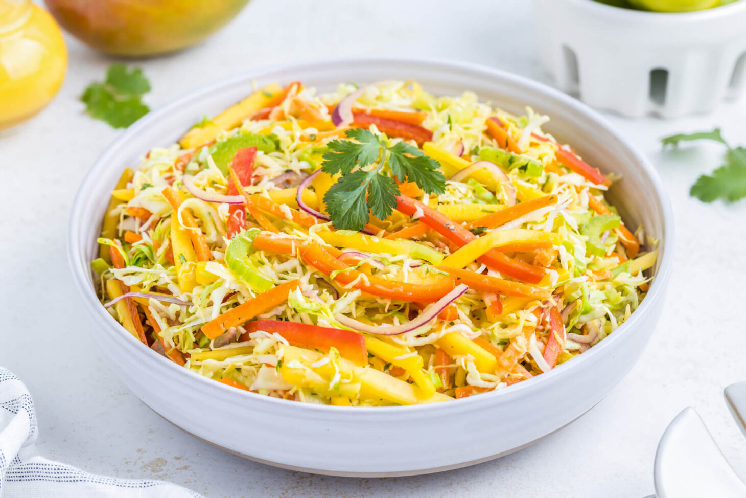 Fruity Mango Slaw Dish 'n' the Kitchen