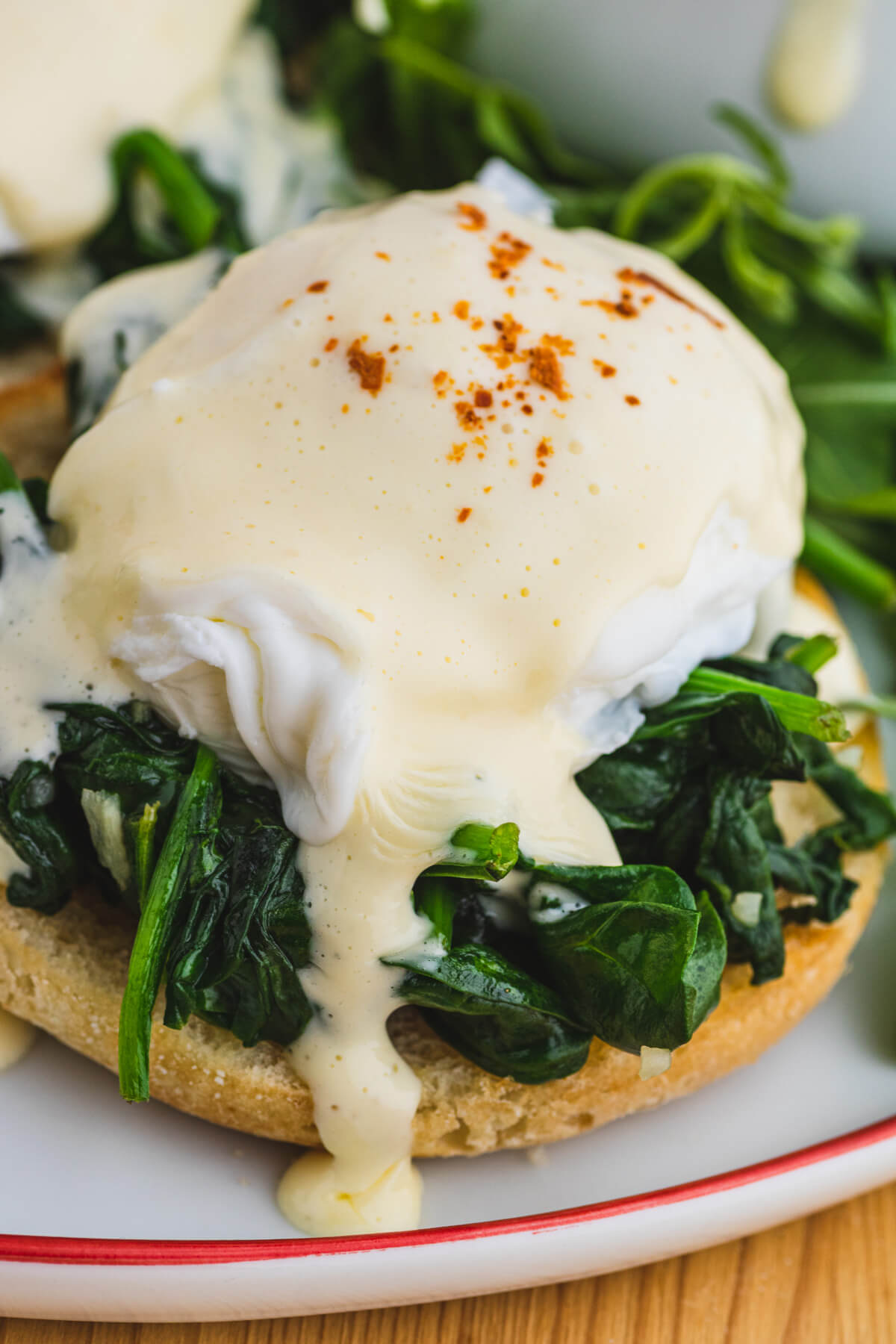 One perfect hollandaise covered Eggs Benedict Florentine on a bed of sauteed spinach and English muffin.