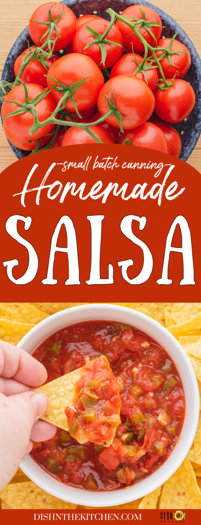 Pinterest image featuring a bowl of ripe red tomatoes over a bowl of salsa with a tortilla chip.