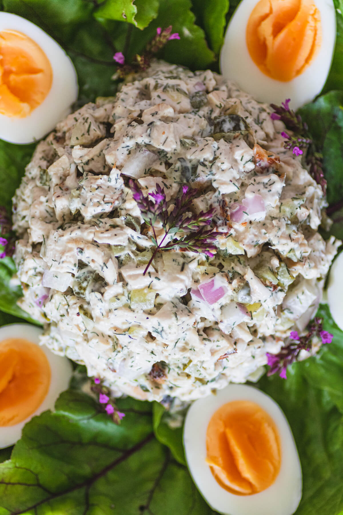 Close up view of chicken egg salad featuring dill weed, pickles, purple onions, and capers.