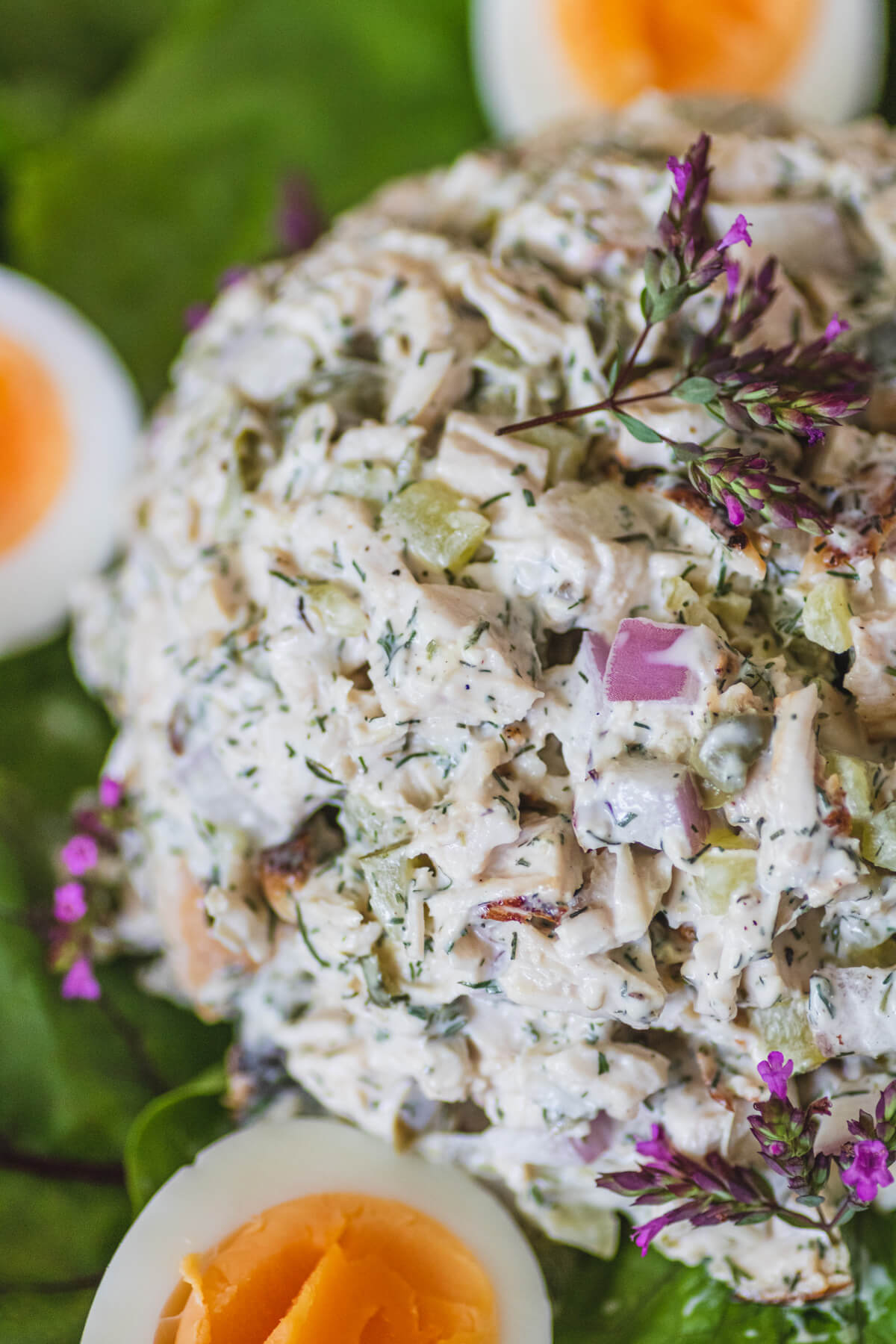 Close up view of chicken egg salad featuring dill weed, pickles, purple onions, and capers.