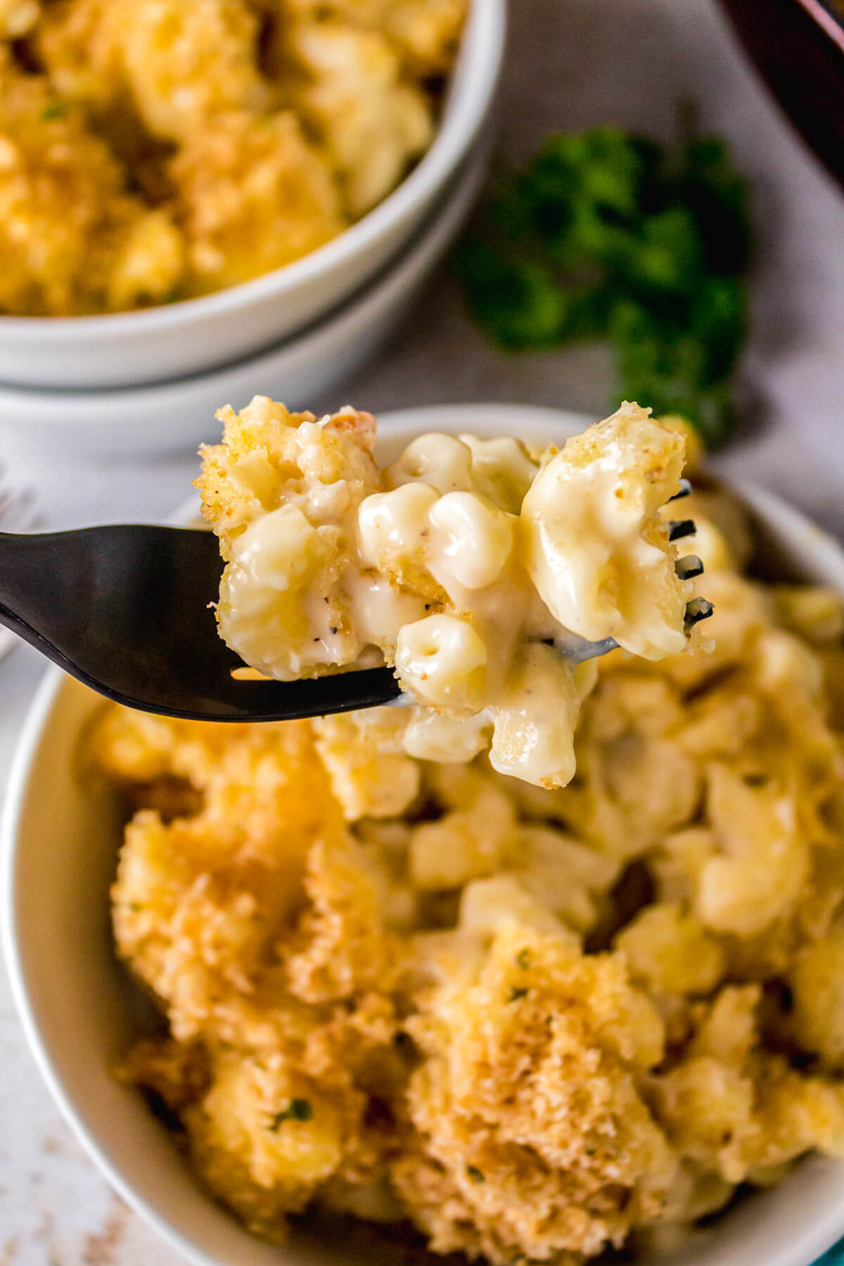 A forkful of creamy Smoked Mac and Cheese topped with toasted golden bread crumbs.