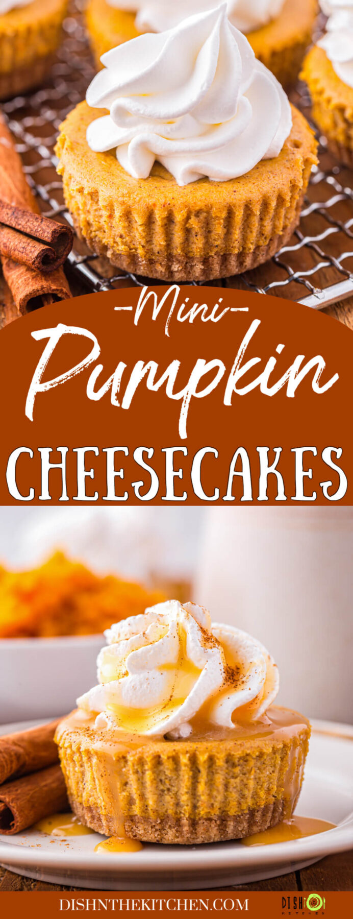 PInterest image featuring mini pumpkin cheesecake topped with whipped cream.