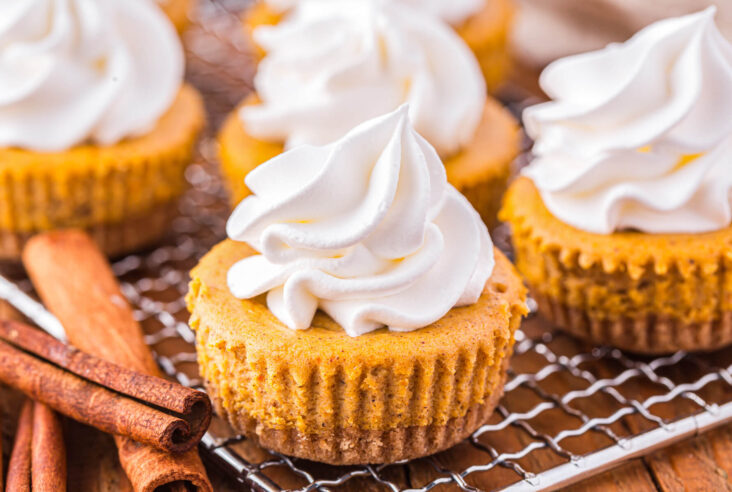 A wire baking rack containing four mini pumpkin cheesecakes topped with whipped cream.